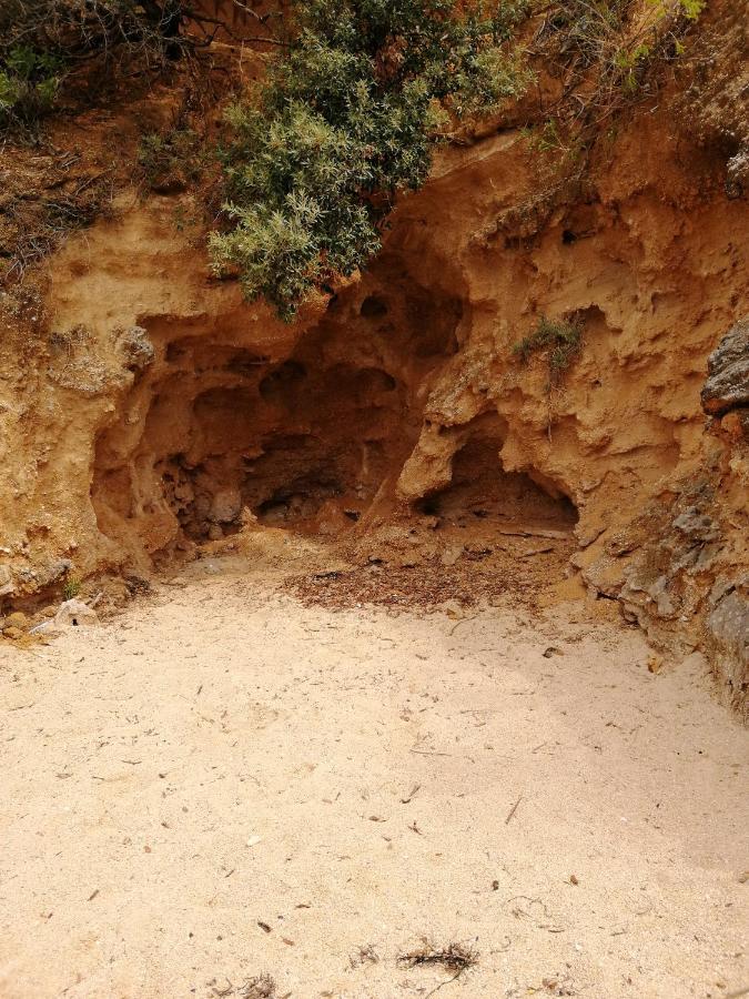 Barbat na Rabu Apartmani Katarina מראה חיצוני תמונה